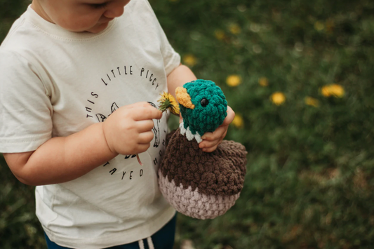 Drake - Crochet duck